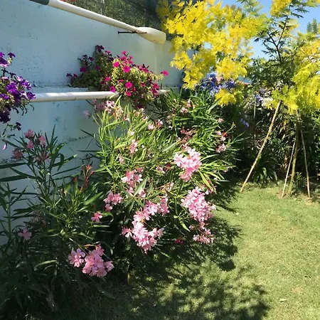 Bed & Breakfast Casa 